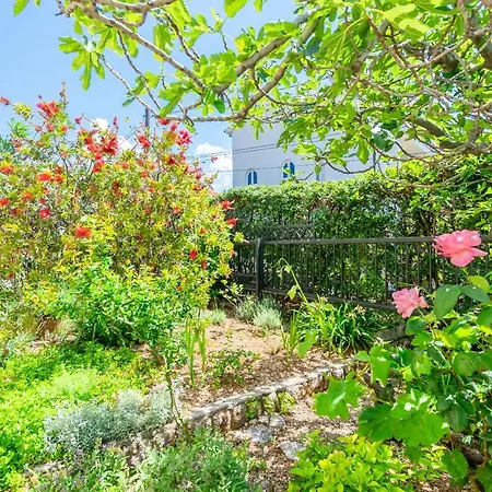 Apartmán Rada I Stanislav Barbat na Rabu