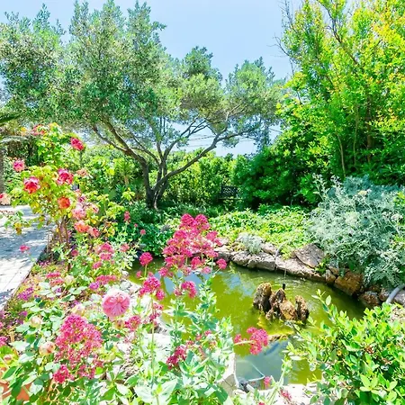 Rada I Stanislav * Barbat na Rabu